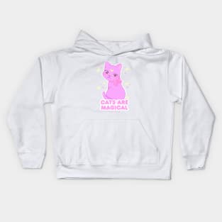 Cats are magical Kids Hoodie